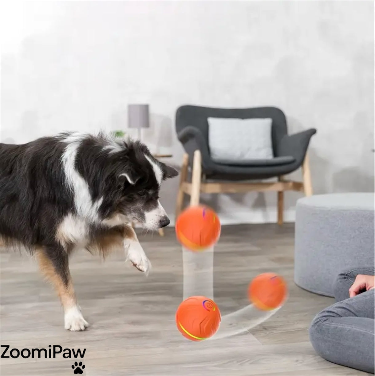 PawGravity Ball